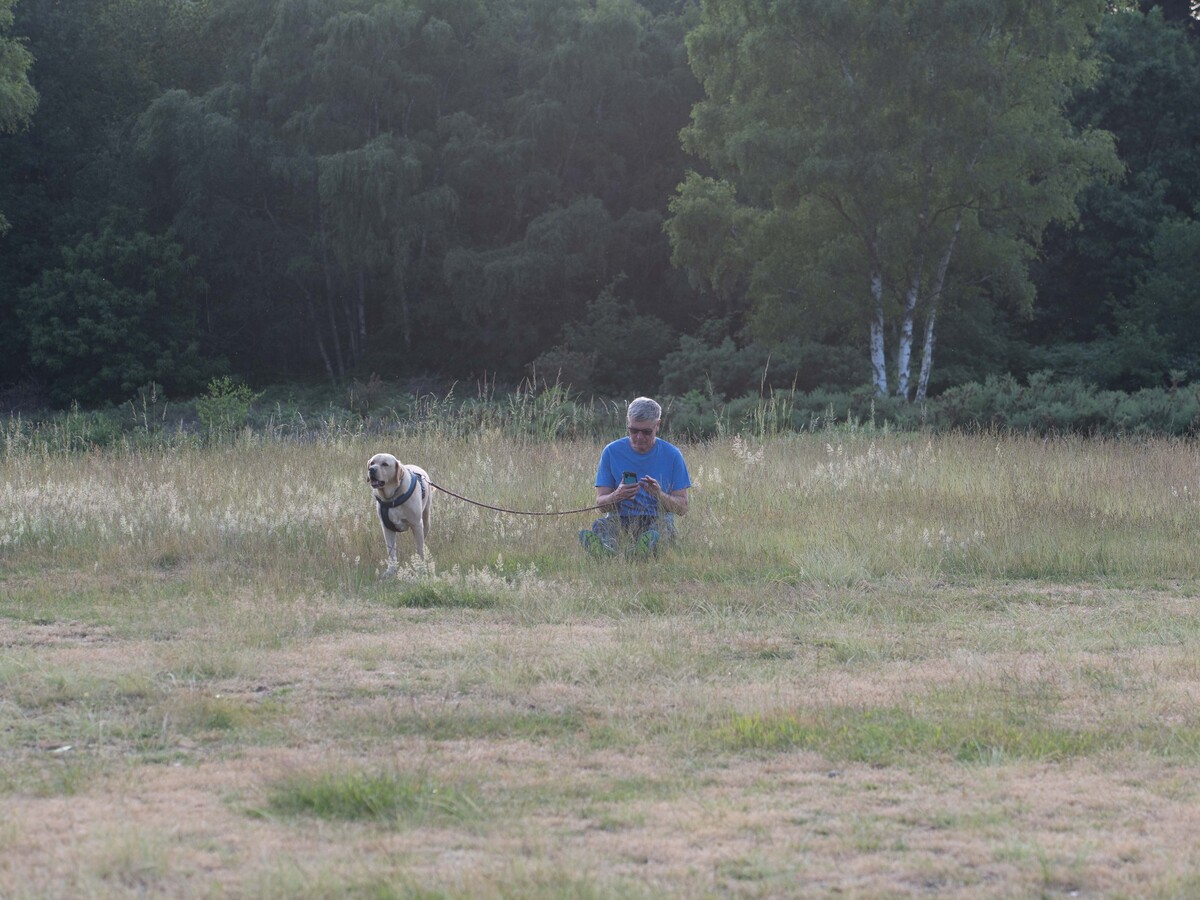 langley Park  NBS2022-181